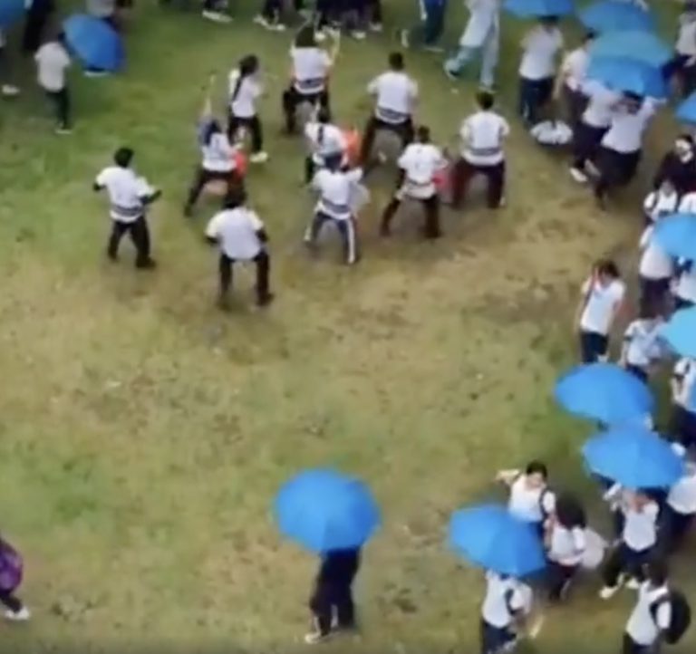 Activating the power of networks to create global change